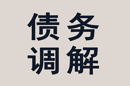 法院如何处理多起欠款诉讼执行案件